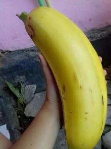 大香蕉国产情侣,甜蜜瞬间，浪漫时光